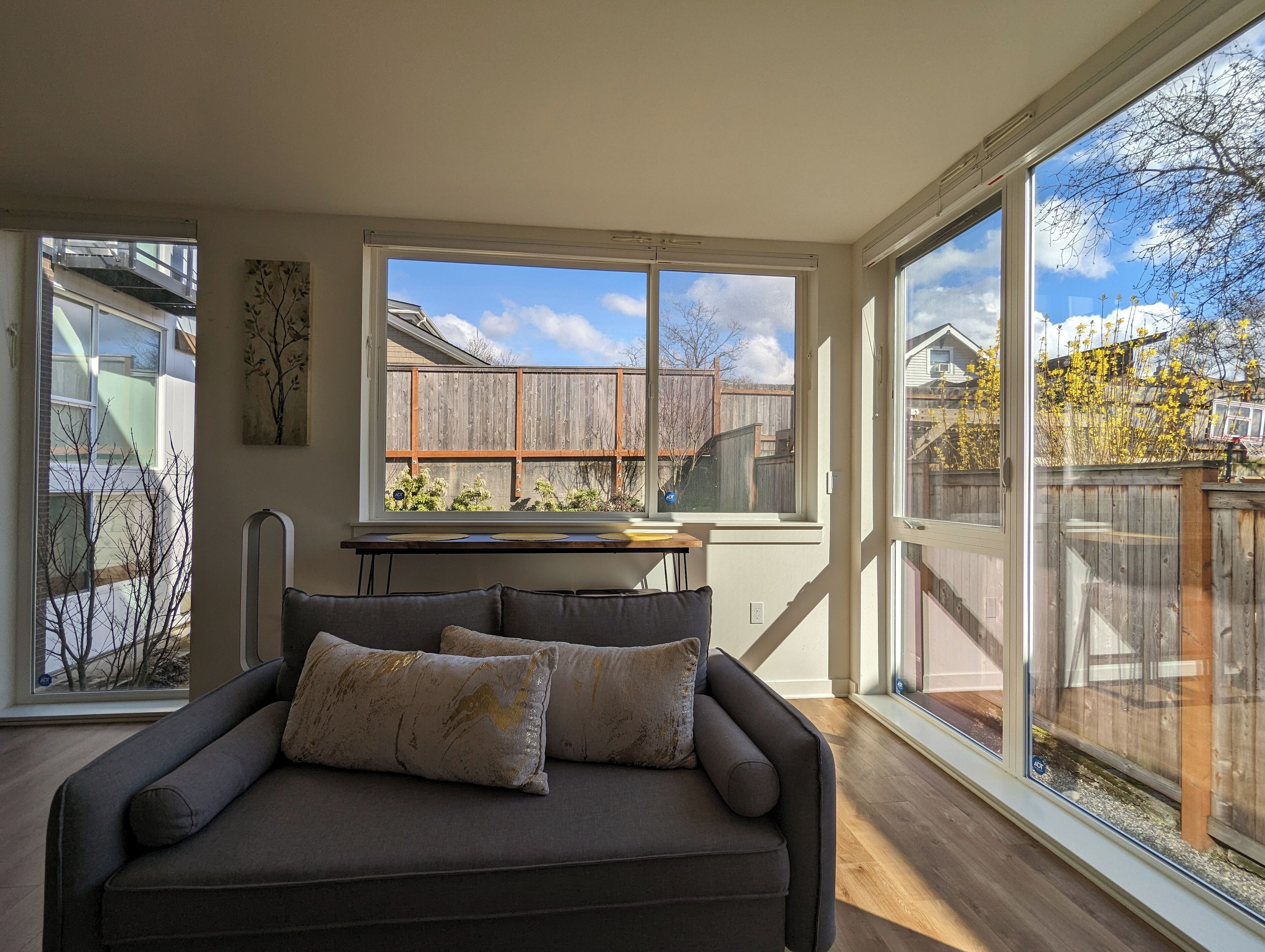 Smart TV, books, computer monitors