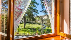 A window with a view of a garden, a wooden bench, and a house in the background. - Beautiful private villa for 4 guests with WIFI, patio and pets allowed (Bucine)