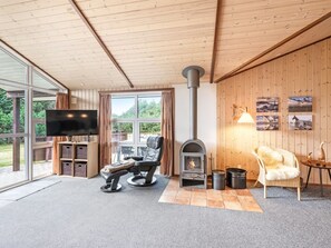 Fernseher, Kamin