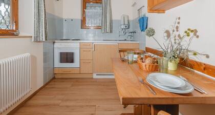 Nice apartment for 4 guests with WIFI, TV, patio and pets allowed