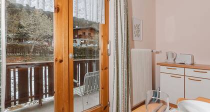 Nice apartment for 3 people with WIFI, TV, balcony and pets allowed