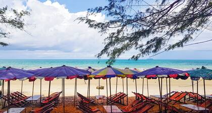 Tropical beach nearby, Studio well-equiped kichen, AC, Wi-fi, Pools and Gym