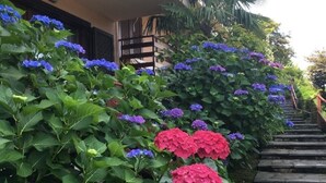Un escalier entouré d’une végétation luxuriante et de fleurs aux couleurs vives.