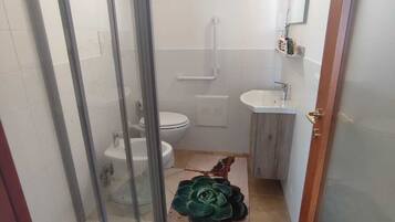 Shower, hair dryer, bidet, towels