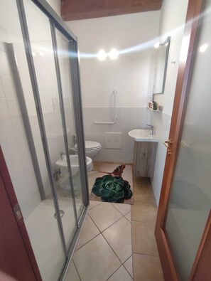 Ducha, secador de pelo, bidet, toallas