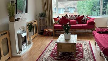 Smart TV, fireplace, books