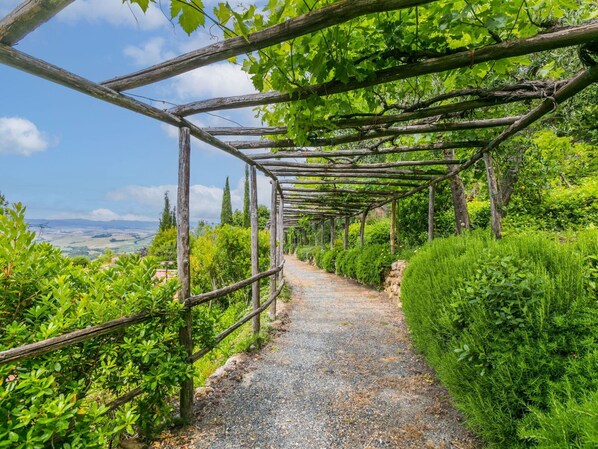 Property grounds - Cosy apartment in villa for 2 people with WIFI, pool, A/C, TV, terrace and panoramic view (Montaione)