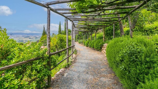 A gravel path under a wooden pergola with lush greenery on both sides. - Nice apartment in villa for 4 people with A/C, WIFI, pool, TV and panoramic view (Montaione)