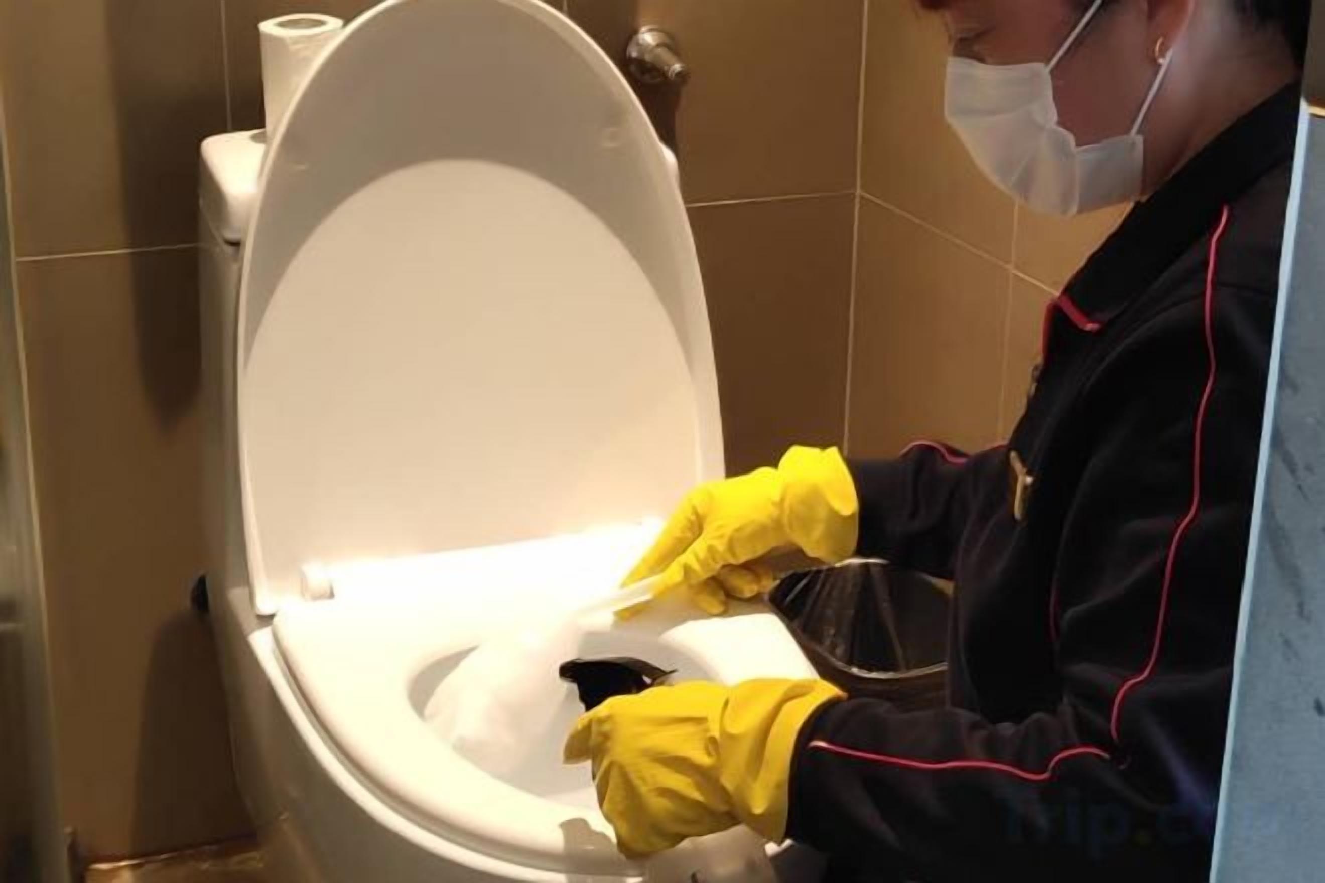 A person cleaning a toilet with yellow gloves.