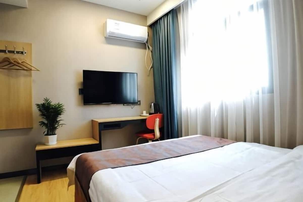 Habitación de hotel con cama, escritorio, silla, televisor y planta en maceta.