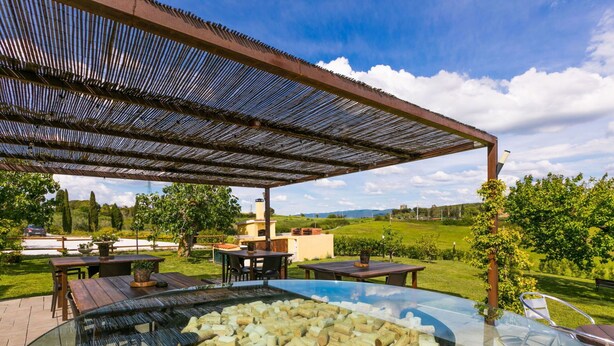 Um pátio externo com mesa de vidro cercada por cadeiras de madeira, uma pérgola acima e vista para um vinhedo ao fundo.