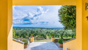 Vista através de um arco amarelo, que dá para um olival, com uma paisagem urbana ao longe.