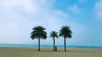 海灘