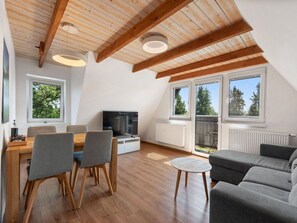 TV, fireplace - Beautiful apartment for 5 guests with WIFI, TV and terrace (Ceský Krumlov)