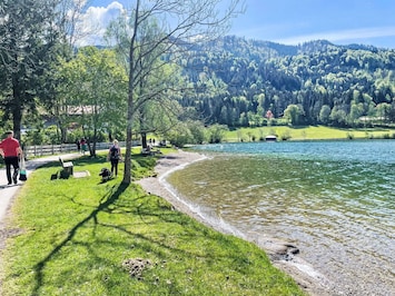 Wasser, Himmel, Pflanze, Wasservorräte, Wolke, Berg, Natürliche Landschaft, Baum, See, Wasserlauf