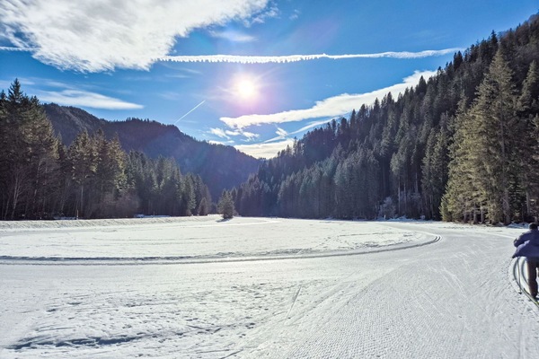 Winter, Schnee, Baum, Wildnis, Einfrieren, Wald, Terrain, Steigung, Lärche, Gebirge