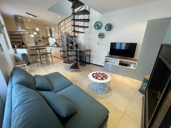 TV, fireplace, books