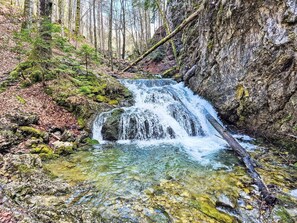 A waterfall in a forested area with clear water, rocks, and moss. - Beautiful apartment in villa for 5 people with A/C, TV and terrace (Fischbachau)