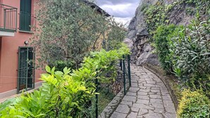 A narrow stone pathway flanked by lush greenery and a building with green shutters and a balcony. - Nice apartment for 8 people with pool and terrace (Torri Del Benaco)