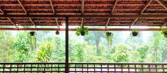 Heights Farm Stay - Coffee Estate Stay
