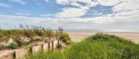Strand