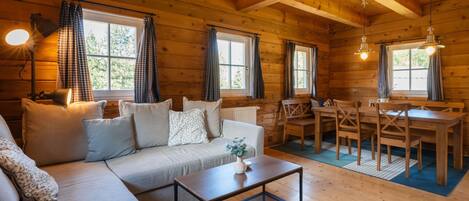 Televisión y chimenea