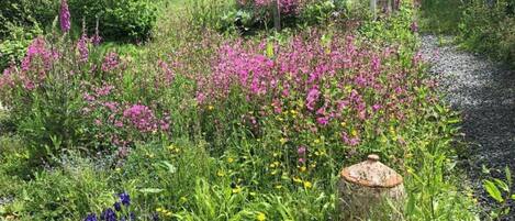 Àrea exterior de l'allotjament