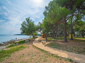 A coastal walkway with a small wooden shelter, surrounded by pine trees and a clear view of the sea.