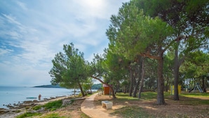 A coastal walkway with a small wooden shelter, surrounded by pine trees and a clear view of the sea.