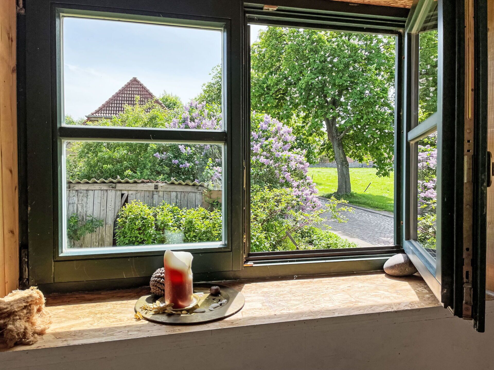 Pflanze, Eigentum, Fenster, Holz, Geschirr, Interior Design, Beleuchtung, Schatten, Sonnenlicht