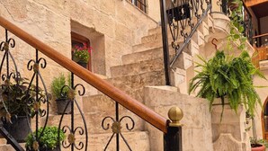 Un escalier en pierre avec des rampes en fer forgé et des plantes en pot.