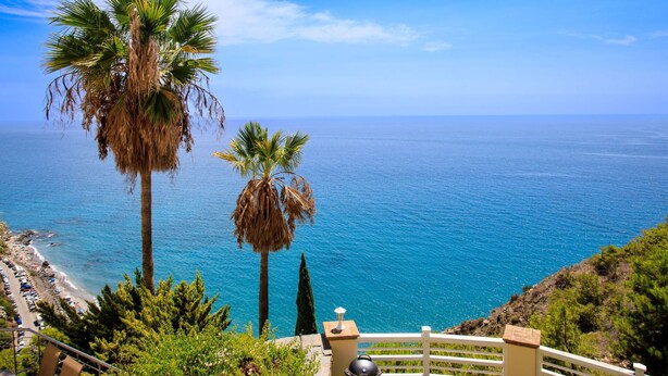 A coastal view with palm trees and a clear blue sky.