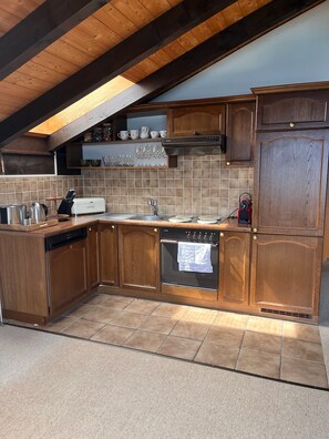 Fridge, oven, stovetop, dishwasher - Apartment in Beatenberg, Switzerland (Beatenberg)