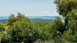 A swimming pool with a view of the sea and hills.