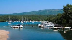 A marina with various boats docked, surrounded by a forested hillside.