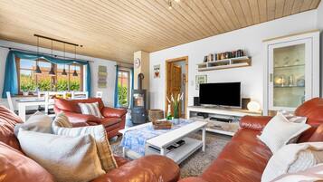 Fernseher, Kamin, DVD-Player