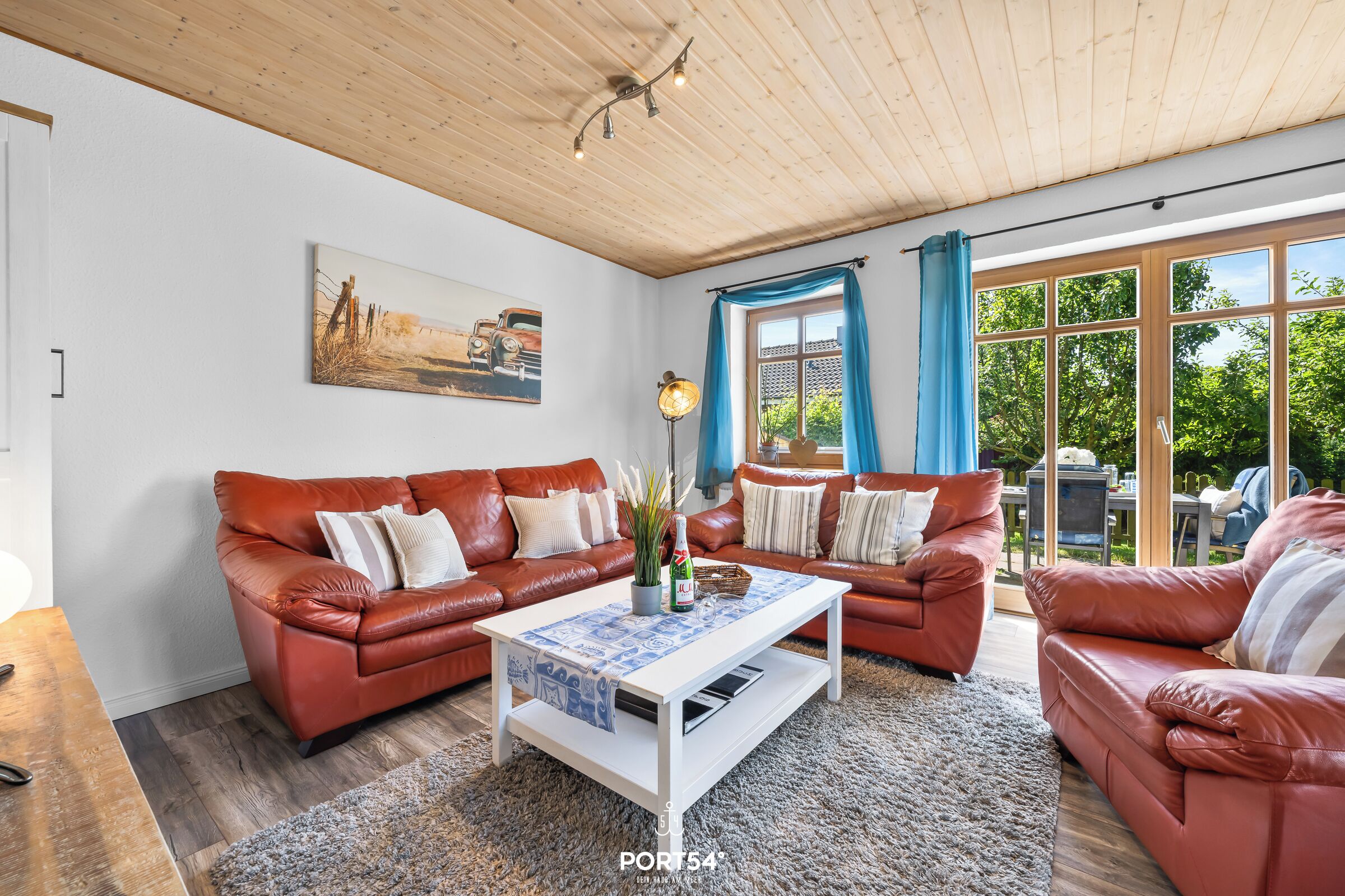 电视、壁炉、DVD 播放器