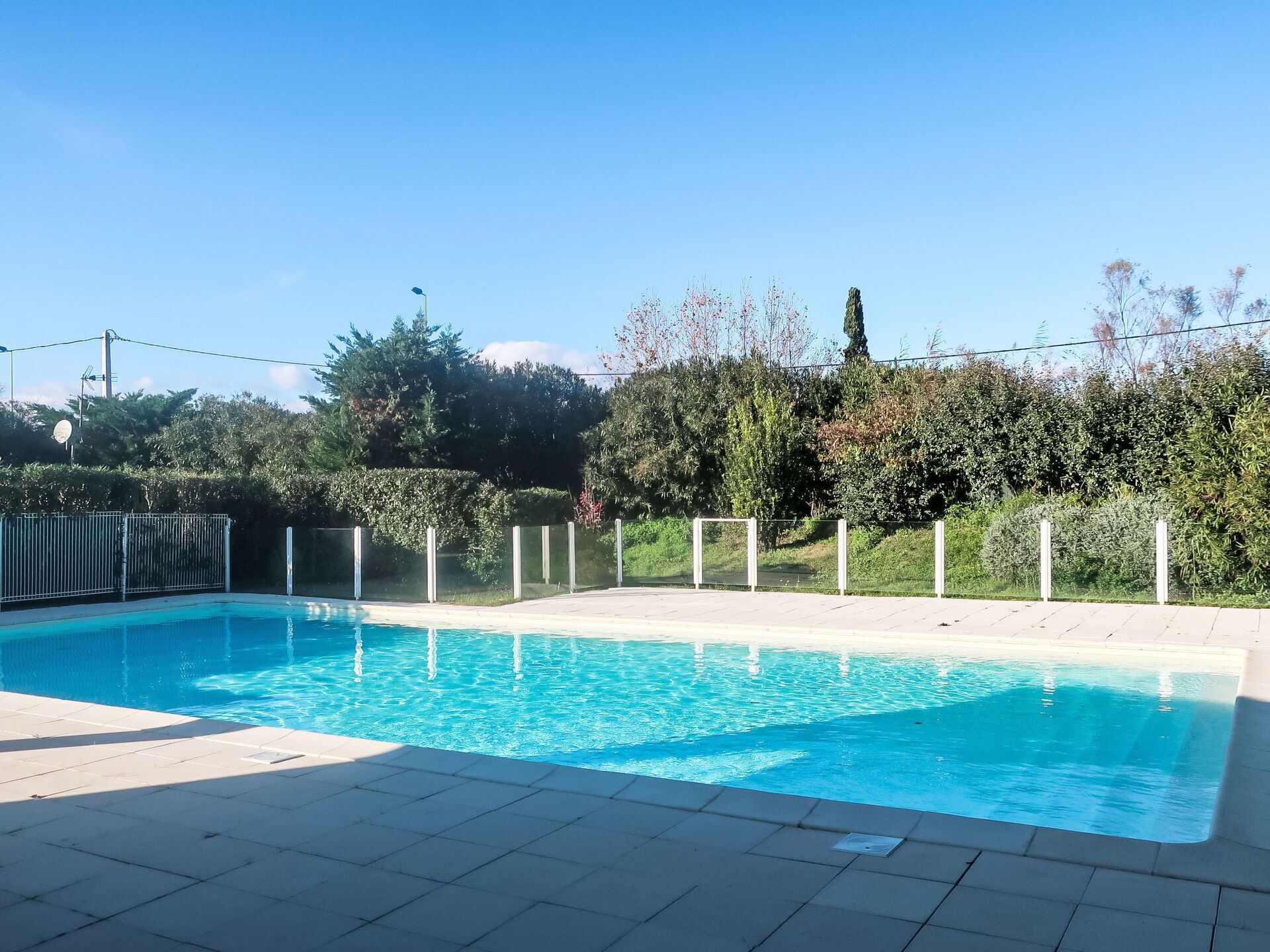Una piscina azul cristalina con un borde de baldosas, rodeada por una valla de metal y abundante vegetación.