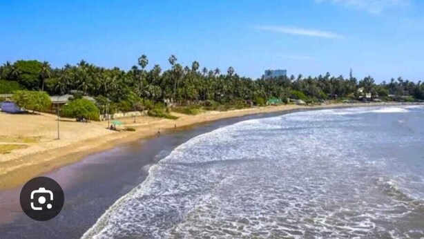 Ein Strand mit sandigem Ufer, ruhiger See und einer Baumreihe im Hintergrund.