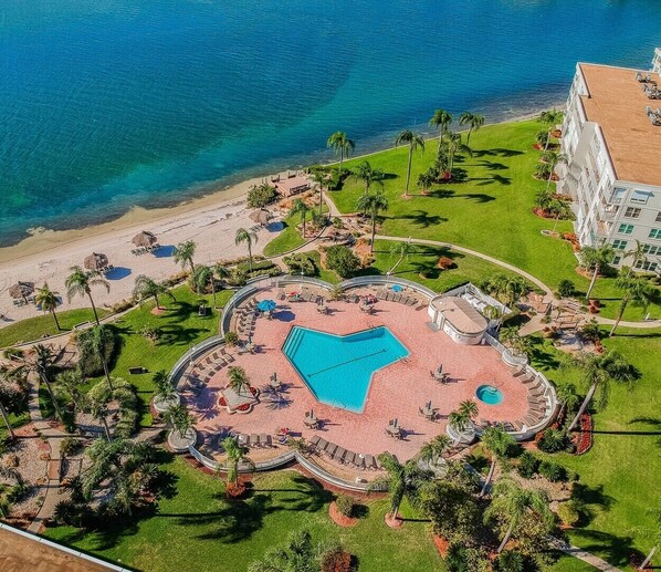 A heated pool - Bahia Vista 'Eat, Beach, Sleep, Repeat...' (St. Petersburg)