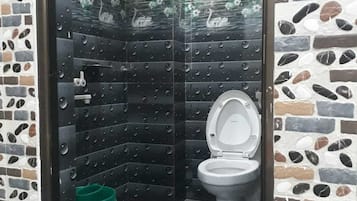 Shower, towels, soap, toilet paper