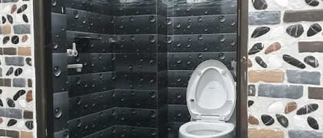 Shower, towels, soap, toilet paper