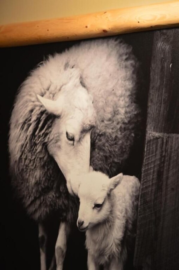 A black and white photograph of a sheep and its lamb. - Pokoje Gościnne Pienińska Parzenica (Czorsztyn)