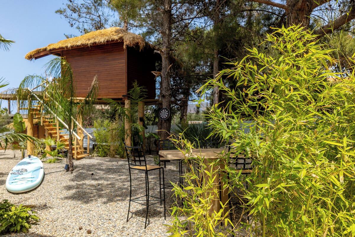 A rustic wooden structure with a thatched roof, surrounded by tropical plants and a gravel ground.