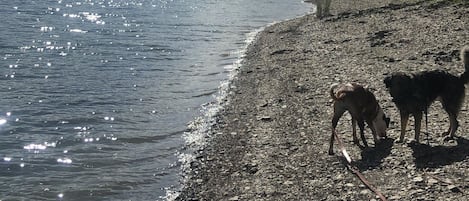 Playa