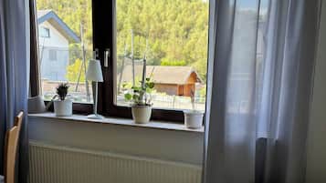 Fernseher