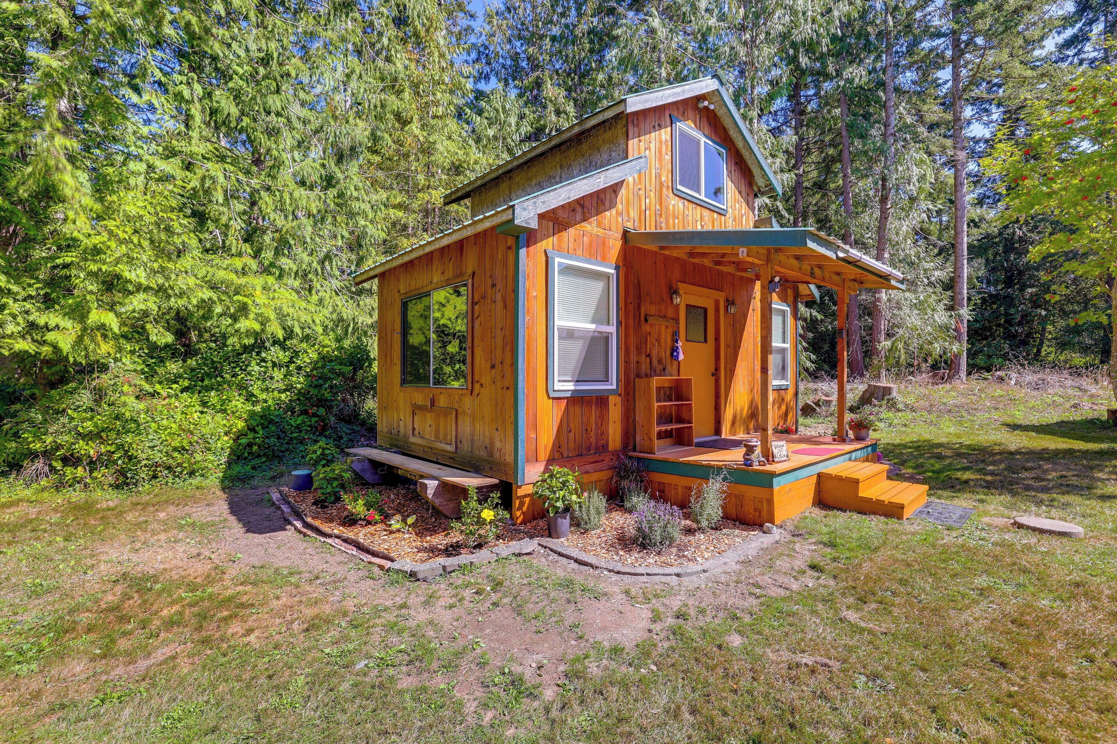 A small wooden cabin with a porch, surrounded by dense forest.
