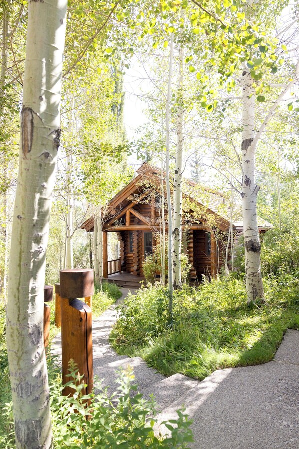 Un chalet rustique entouré de bouleaux, avec un chemin de gravier menant à l’entrée.