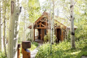 Une cabane rustique en rondins, entourée de bouleaux dans une forêt.