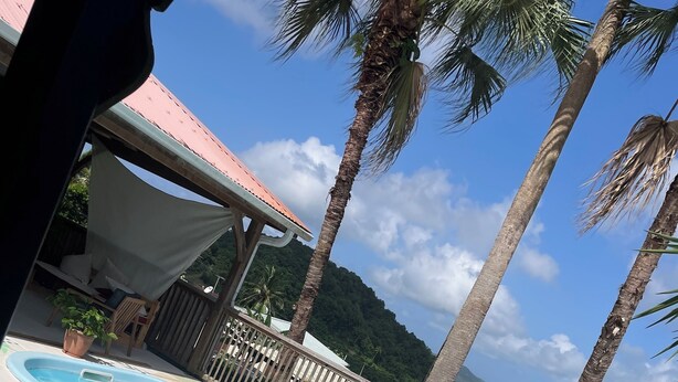 A swimming pool with a wooden deck, surrounded by palm trees and a mountain view.
